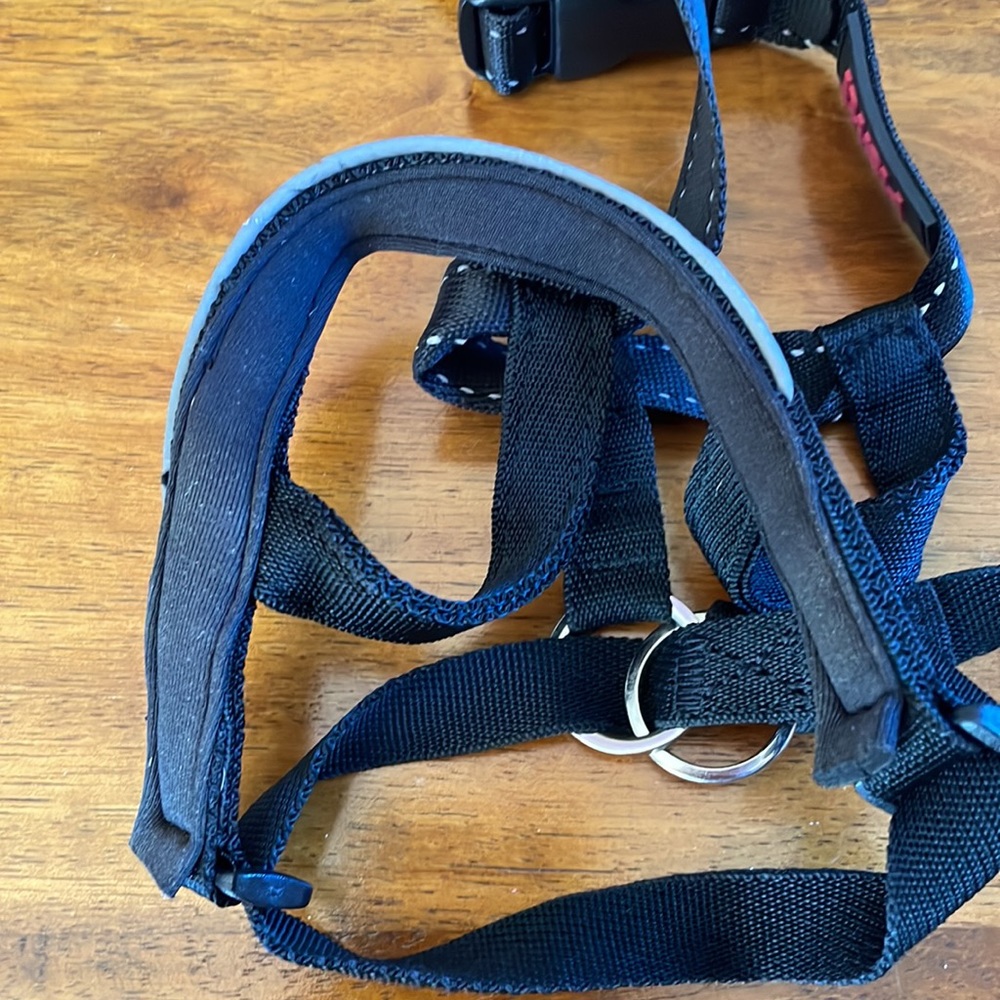 Black Headcollar for Dogs - Picture 5 of 7
